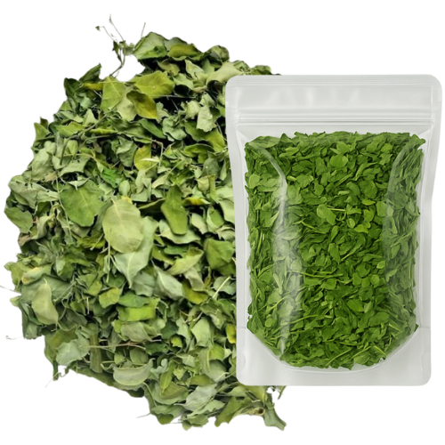produk daun kelor kering